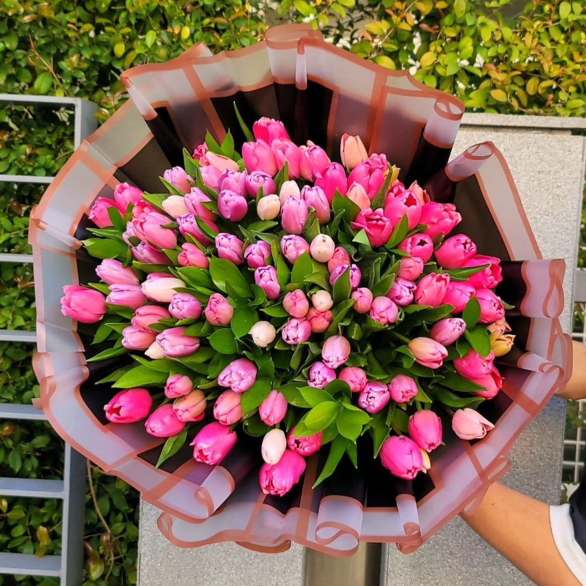 A Hundred Pink Smiles