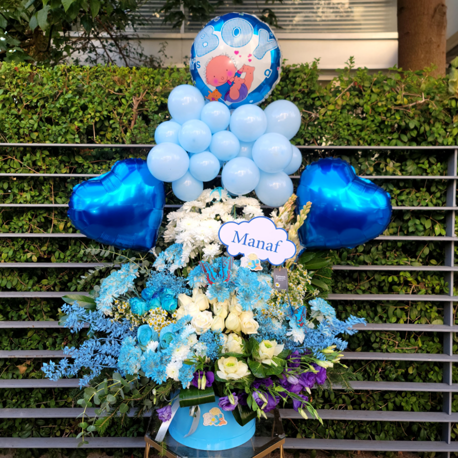 Blue Prince Welcome
