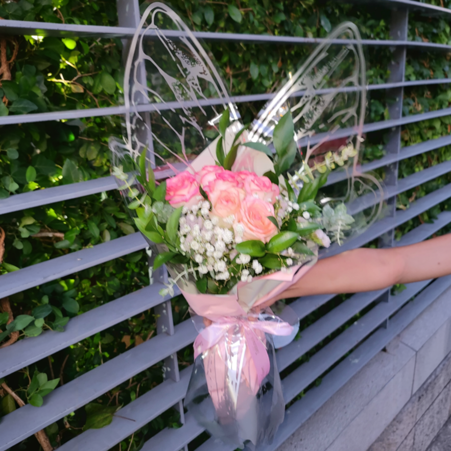 Blush Butterfly Dream