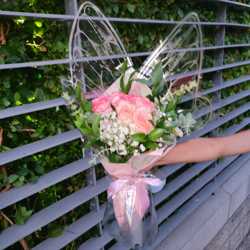 Blush Butterfly Dream
