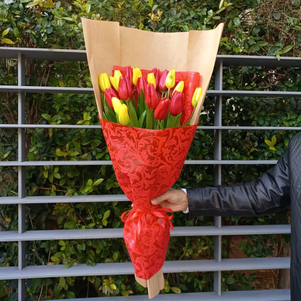Dreamy Duet of Tulips