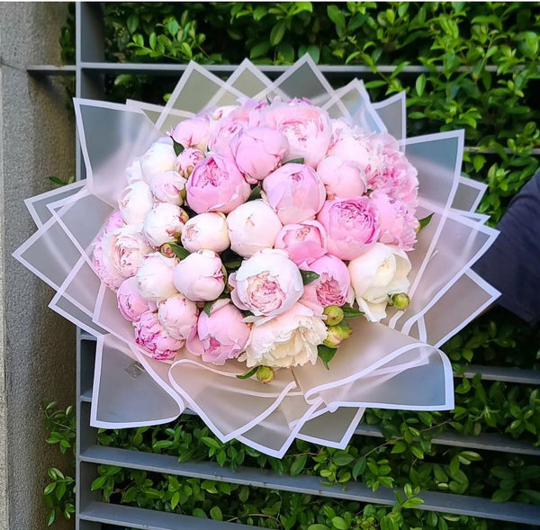 Fairy Tale Peonies