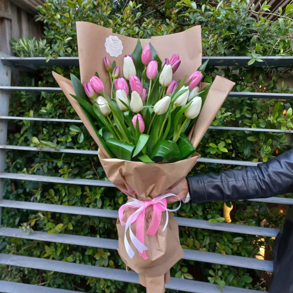 Fresh Start Tulips