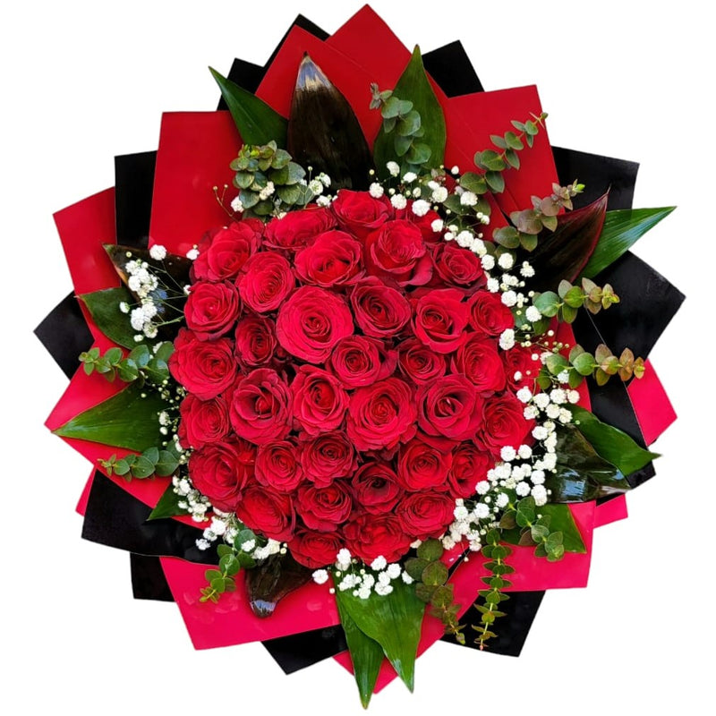 Scarlet Roses