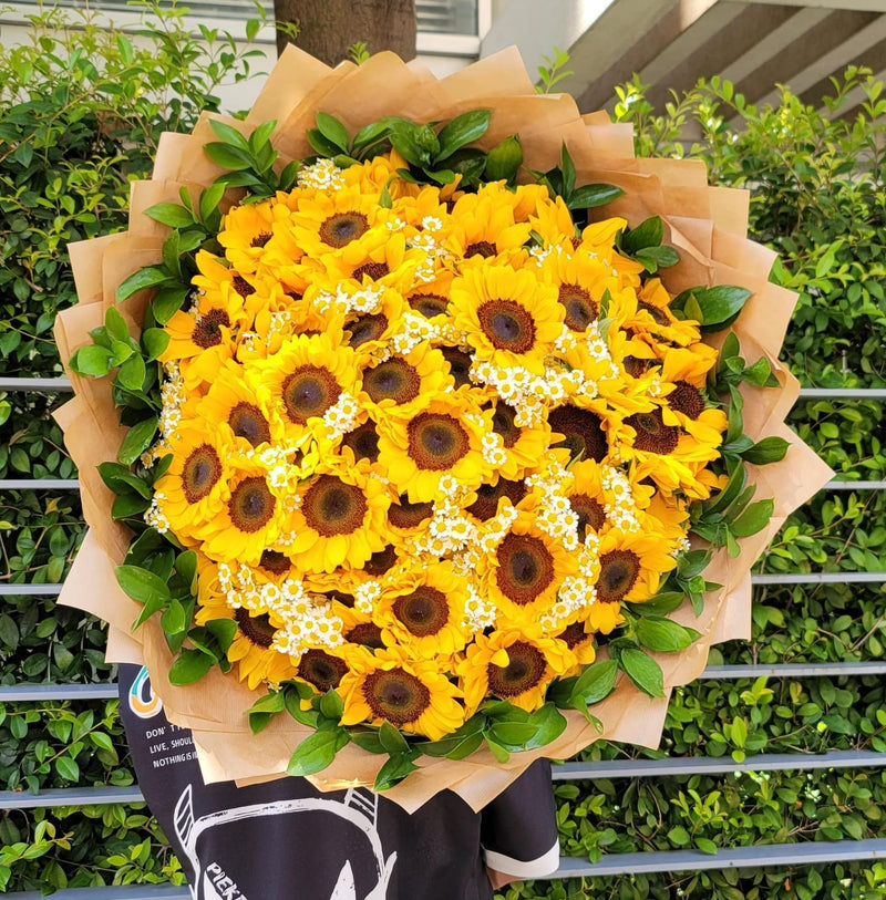 Sunburst Seventy