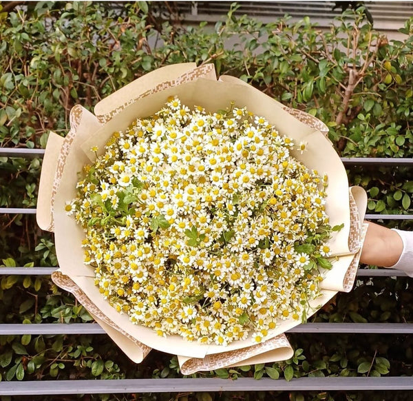 The Daisy Bouquet