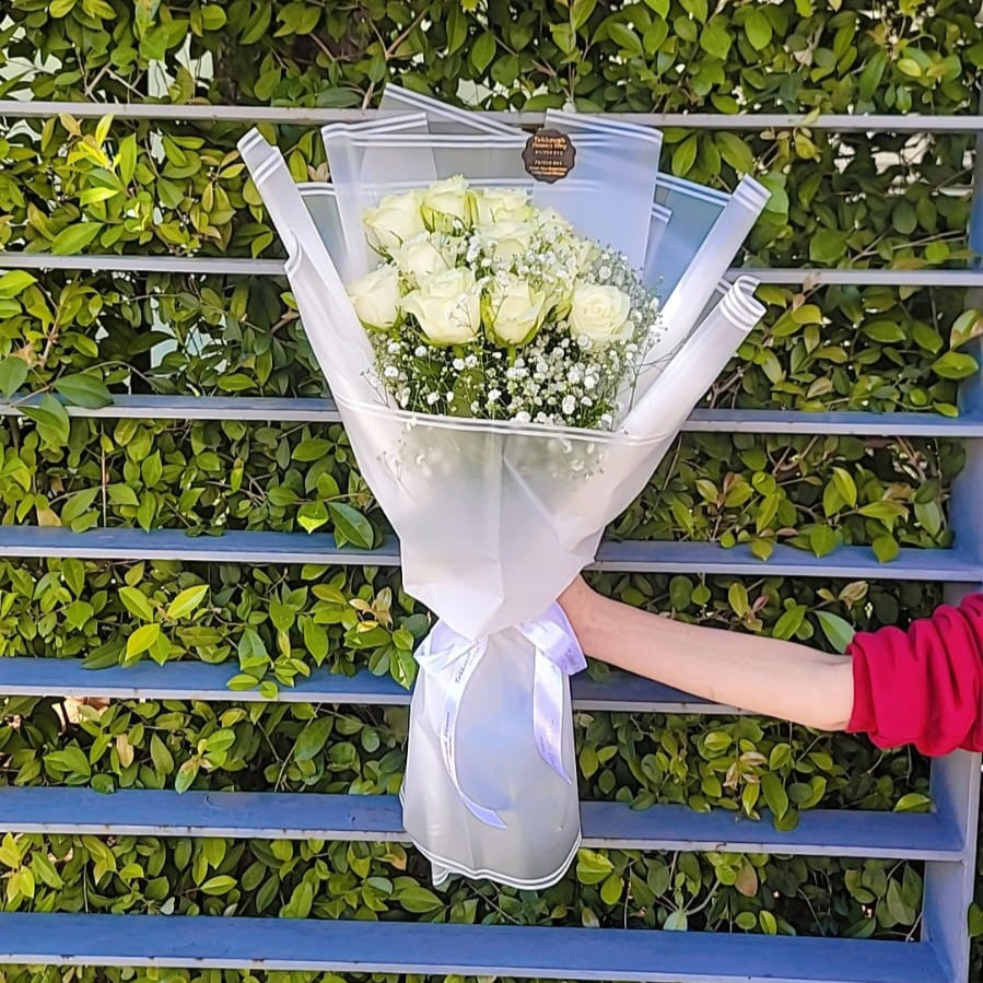 The Dozen: Pure Promise