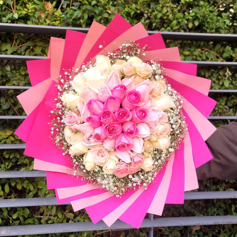 The Pink Radiance