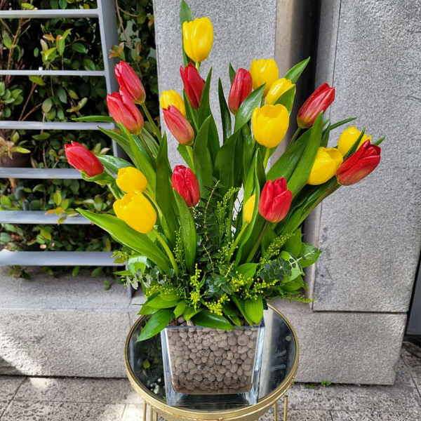 Vase of Vividity