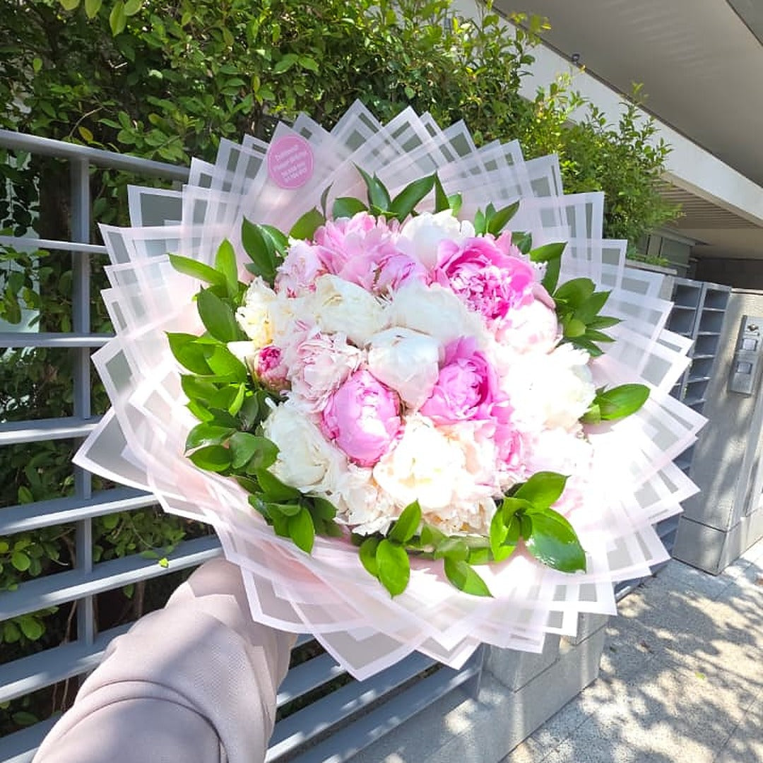 Peony Perfection